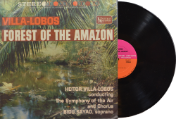 forest of the amazon